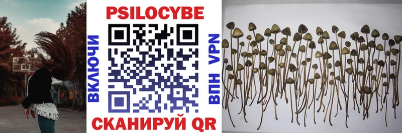 Псилоцибиновые грибы Psilocybine cubensis  купить наркотик  Себеж 
